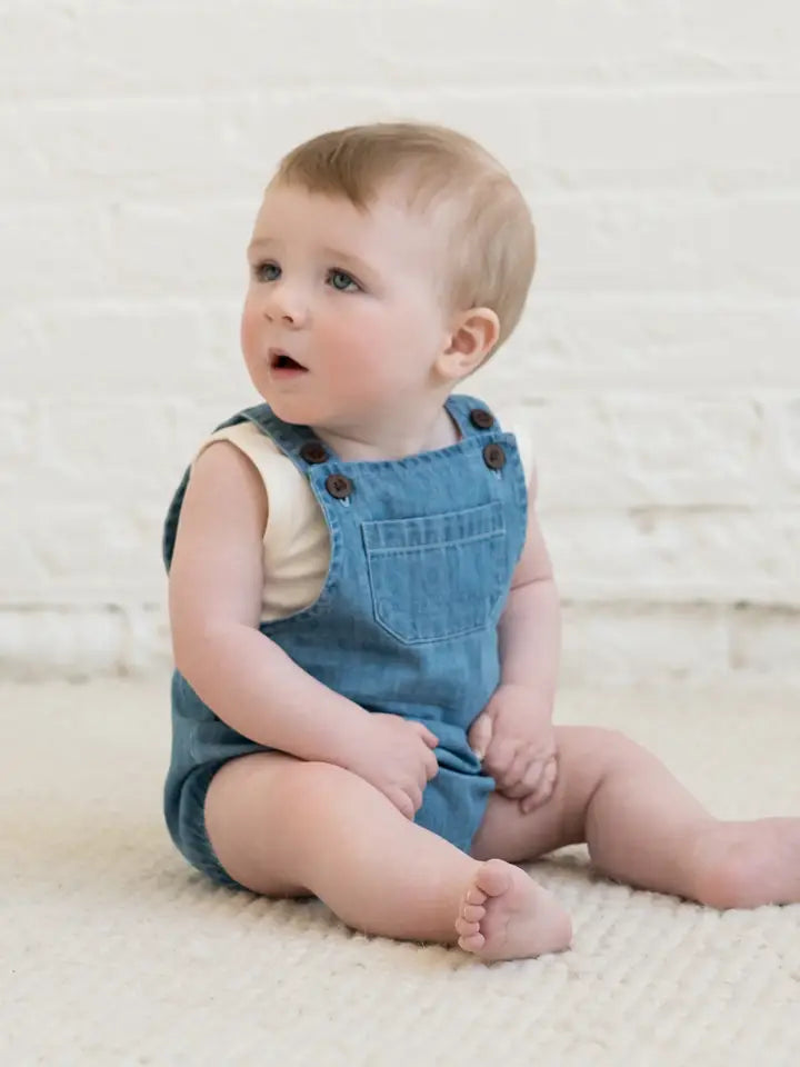 Neil Chambray Overall